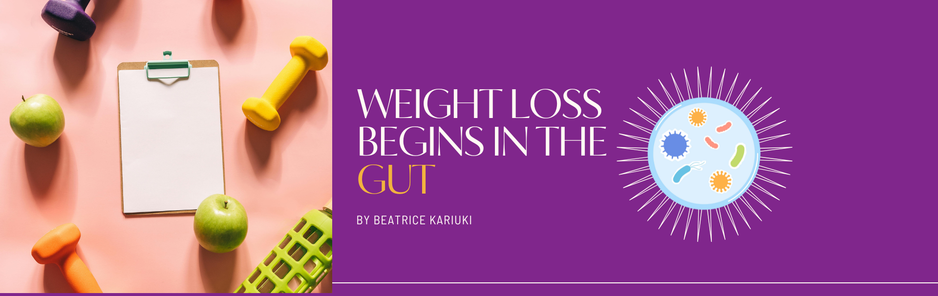 Gut Healing and Weight Loss: How Fixing Your Gut Transforms Your Body Naturally