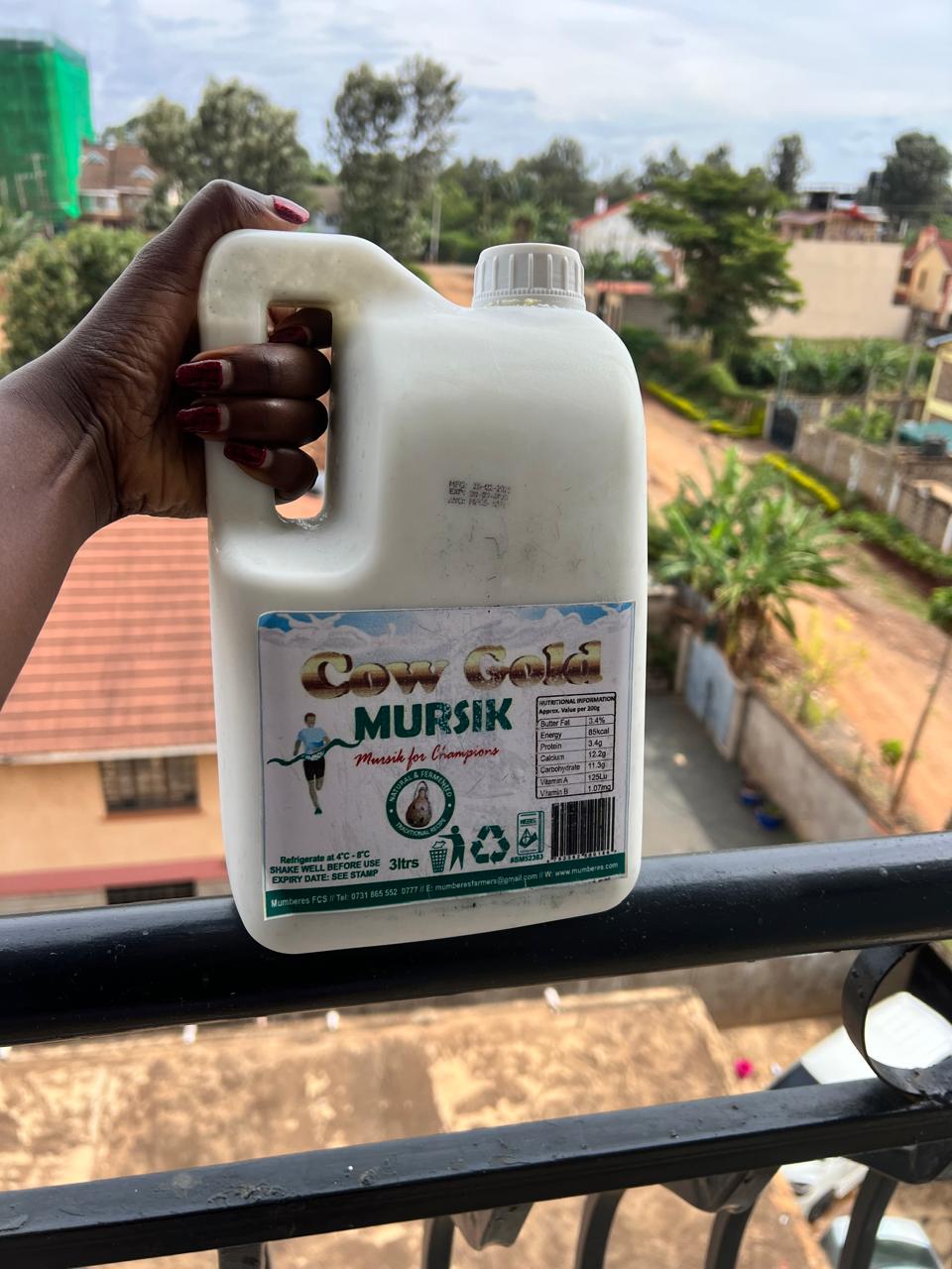 3L Mursik
